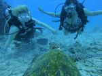 Hawaii Scuba divng 65