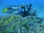 Hawaii Scuba divng 69