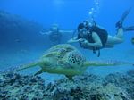 Hawaii Scuba divng 70