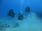 Hawaii Scuba divng 73