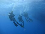 Hawaii Scuba divng 09