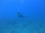 Hawaii scuba 30