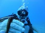 Hawaii scuba 39