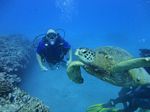 Waikiki scuba 31