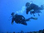 Waikiki scuba 04