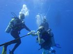 Waikiki scuba 08