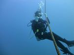 Hawaii Scuba divng 11