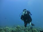 Hawaii Scuba divng 14