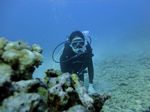 Hawaii Scuba divng 15