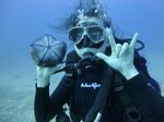 Hawaii Scuba divng 18