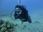 Hawaii Scuba divng 21