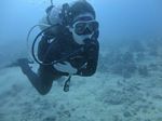 Hawaii Scuba divng 24