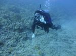 Hawaii Scuba divng 25