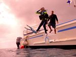 Hawaii Scuba divng 12