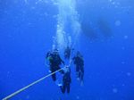 Hawaii Scuba divng 13