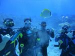 Hawaii Scuba divng 18