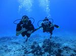 Hawaii Scuba divng 19