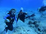 Hawaii Scuba divng 20