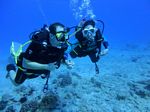 Hawaii Scuba divng 21