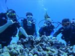 Hawaii Scuba divng 24