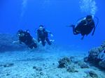 Hawaii Scuba divng 25