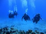 Hawaii Scuba divng 28