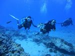 Hawaii Scuba divng 29