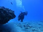 Hawaii Scuba divng 63