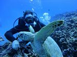 Hawaii Scuba divng 69