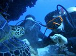 Hawaii Scuba divng 77