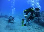 Hawaii Scuba divng 10