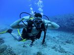 Hawaii Scuba divng 11