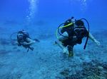 Hawaii Scuba divng 13