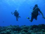 Hawaii Scuba divng 14