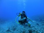 Hawaii Scuba divng 16