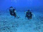 Hawaii Scuba divng 17