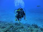 Hawaii Scuba divng 18