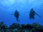 Hawaii Scuba divng 22