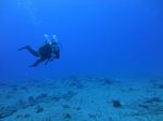 Hawaii Scuba divng 26