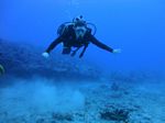 Hawaii Scuba divng 32