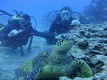 Hawaii Scuba divng 34