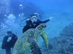 Hawaii Scuba divng 35