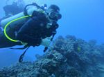 Hawaii Scuba divng 38