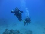 Hawaii Scuba divng 40