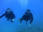 Hawaii Scuba divng 41