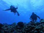 Hawaii Scuba divng 42