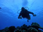 Hawaii Scuba divng 43