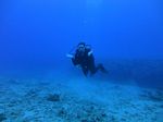 Hawaii Scuba divng 44