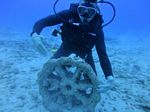 Hawaii Scuba divng 46
