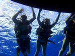 Hawaii Scuba divng 05